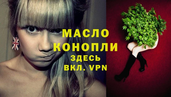 индика Магас