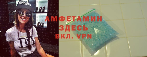 индика Магас