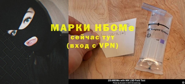 индика Магас