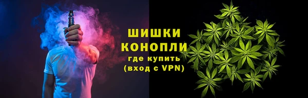 прущие грибы Лиски