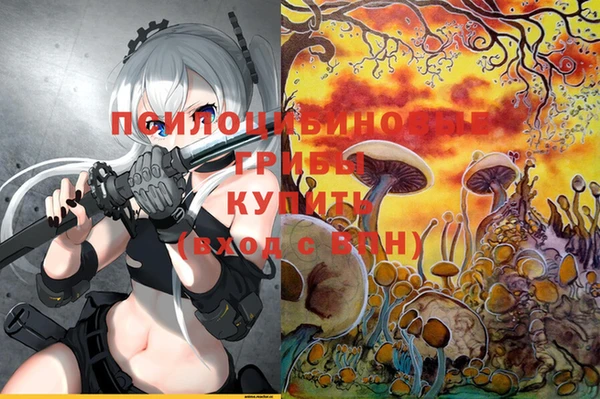 прущие грибы Лиски