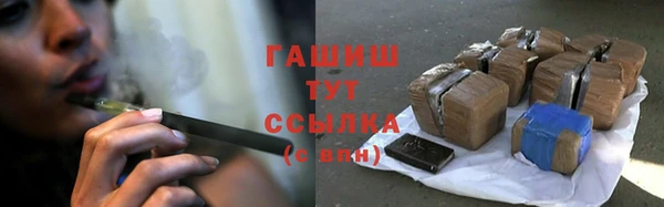 индика Магас