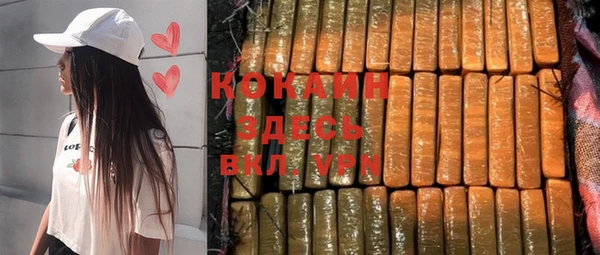 индика Магас
