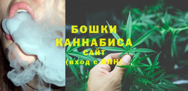 индика Магас