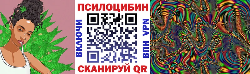 Галлюциногенные грибы Psilocybine cubensis  Нижние Серги 